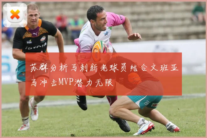 苏群分析马刺新老球员结合文班亚马冲击MVP潜力无限