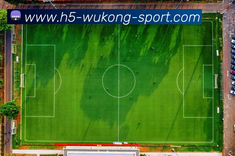 App Interface Preview