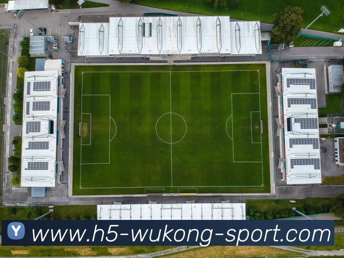 悟空体育APP 封面图