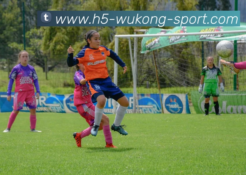 数据防护可视化